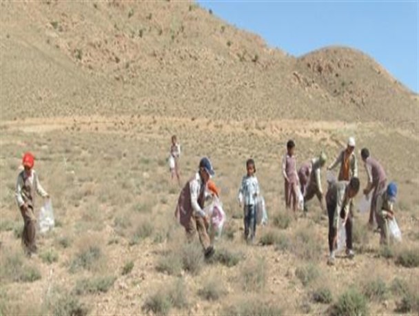 جشن روز زمین پاک در شهرستان زیرکوه برگزار شد+تصاویر