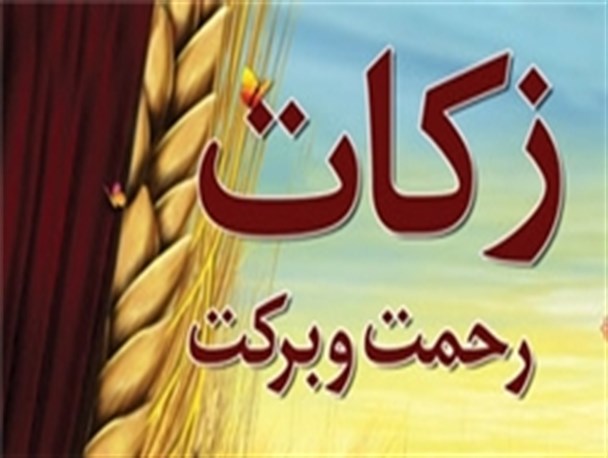 حجت الاسلام ارژنگ: ترویج و پرداخت زکات نیاز به کار عملیاتی دارد/ مولوی پارسا: زکات دستور مهم اقتصادی برای برچیده شدن فقر در جامعه است