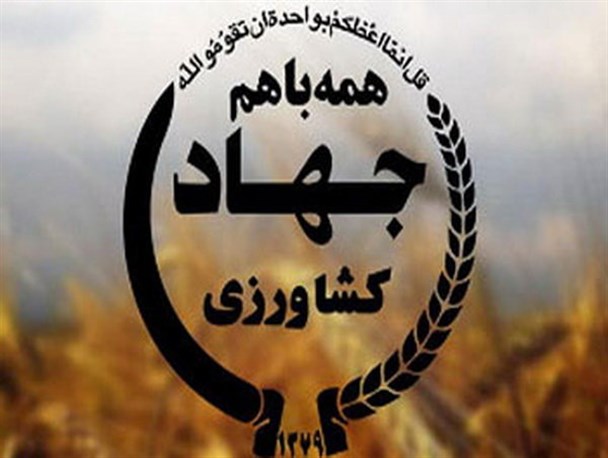 بازدید بازرسین سازمان جهاد کشاورزی فارس از سایت های الگویی کشاورزی بوانات + تصاویر