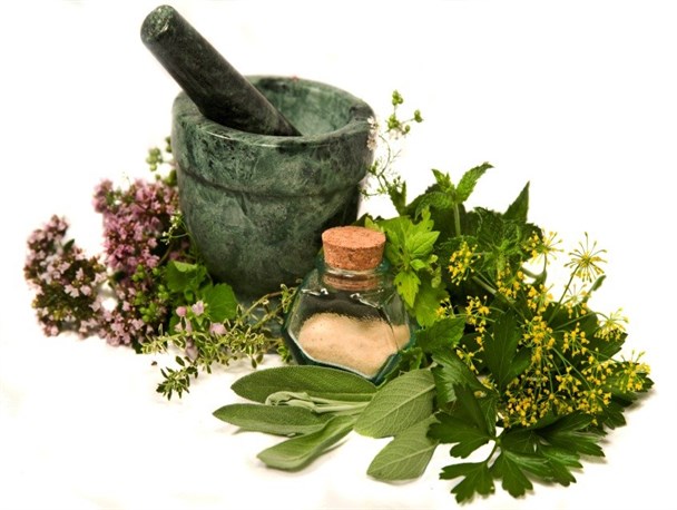کشت گیاهان دارویی راهی برای مقابله با خشکسالی در پاسارگاد