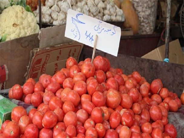 افزایش قیمت گوجه فرنگی در بازار به علت کمبود عرضه/ هر کیلو گوجه سبز در اصفهان ۱۵ تا ۲۰ هزار تومان است