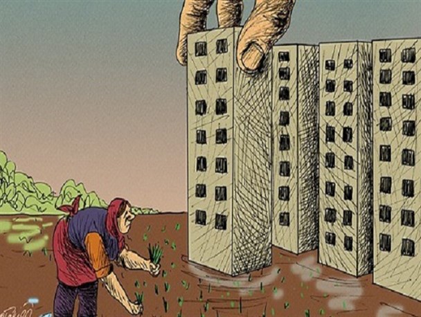 سبز شدن ساختمان‌ به جای گندم در مزارع شاندیز!