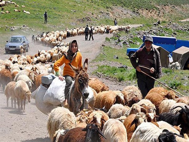۵۰ درصد عشایر برای کوچ به سمت همدان وارد بروجرد شده اند
