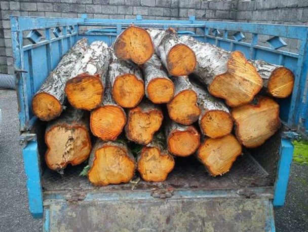 کشف 2 تن چوب جنگلی قاچاق در دالاهو