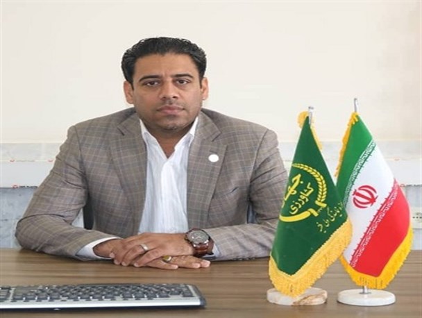 شهرستان منوجان همچنان درگیر مبارزه با ملخ صحرایی