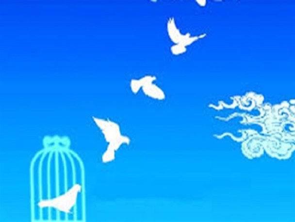 ۲۹ زندانی جرائم غیرعمد آزاد شدند/ تعیین تکلیف پرونده ۲۷ زندانی تا فردا