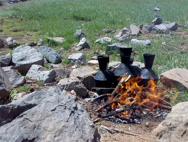 گزارش تصویری از دنیای اطراف ما