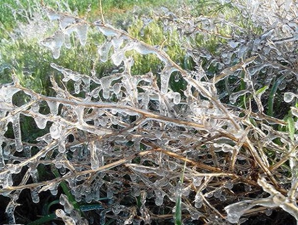 سرمازدگی مسؤلان بویین میاندشت را مجبور به برگزاری جلسه کرد
