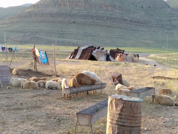 انفجار در سیاه‌چادر عشایری ۴ نفر را مصدوم و راهی بیمارستان کرد