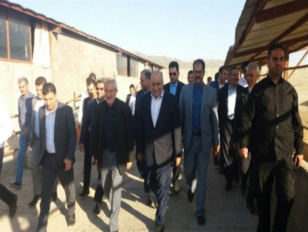 رئیس بنیاد مستعضفان از مجتمع پرورش میش اسلام آبادغرب بازدید کرد