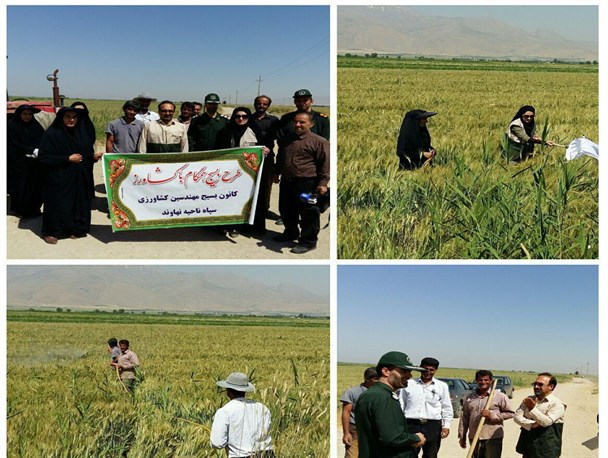 اجرای طرح "بسیج همگام با کشاورز" در 80 روستای نهاوند