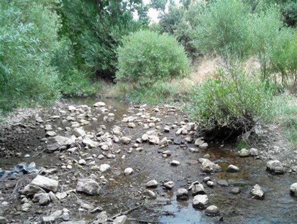 نفسهای آخر رودخانه سفید برگ جوانرود+تصاویر