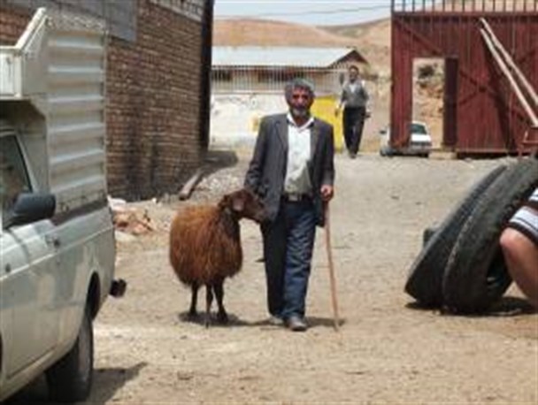 زیرپوست شهر تبریز چه می گذرد/ به نظرمی رسد شهر اولین ها اولین کلانشهری باشد که میدان دام ندارد