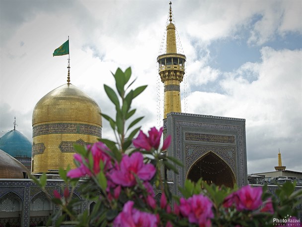 امام رضا(ع): راه را بر ویژه‌خواران ببندید!/ پرسشگری در نگاه امام رضا(ع) ممدوح است