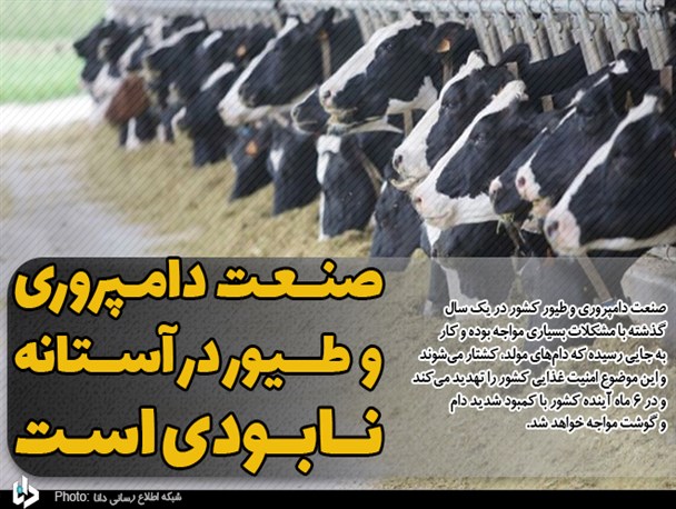 هشدار کمبود شیر و گوشت در سایه بحران سازی دولت/ صنعت دامپروری و طیور در آستانه نابودی است