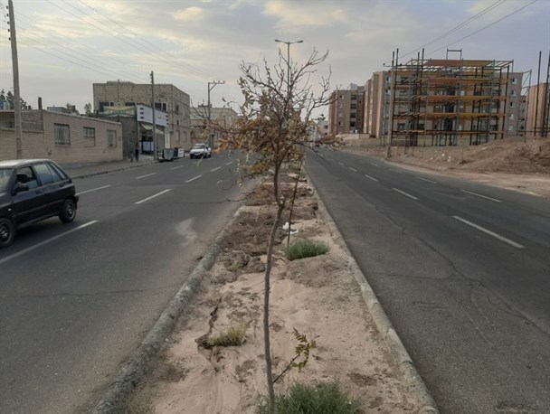 مشکلات بلوار بقیه‌الله(عج) بیرجند؛ از اصرار ساکنان تا انکار مسئولان/ آبیاری‌های محدودی که رنگ از رخسار درختان پرانده