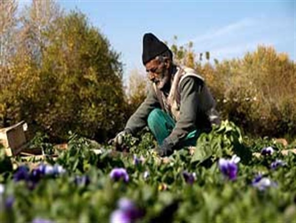 بیله‌درق سرعین، میزبان جشنواره محصولات روستایی