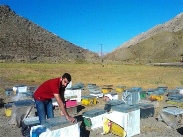 آغاز و پایانی شیرین در تحقق اقتصاد مقاومتی/ وقتی رونق تولید و اشتغال دغدغه جوان بیکار مازندرانی را برطرف می‌کند