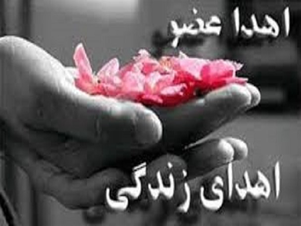 حیات دوباره پنج بیمار با اهدا اعضای جوان 19ساله