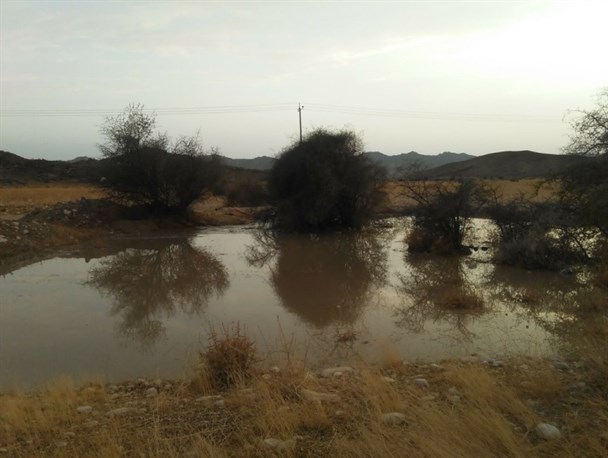 بارندگی در روستای آشی خاییز تنگستان+ عکس