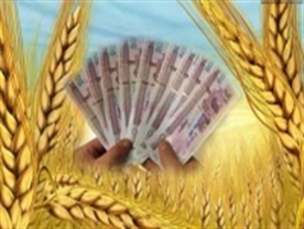 پرداخت پول گندم کشاورزان سنقروکلیایی آغاز شد
