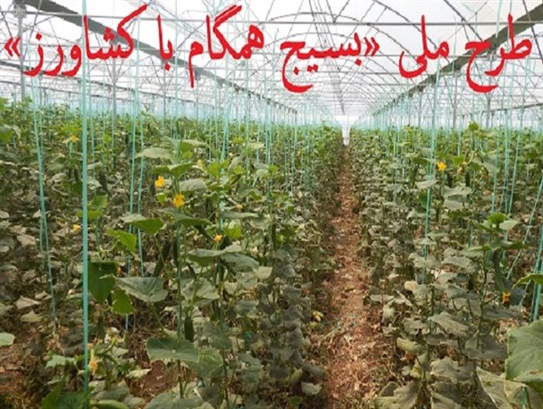 اجرای موفق طرح «بسیج همگام با کشاورز» در پیشوا/ بسیجیان ثابت کردند اقتصاد مقاومتی قابل اجراست