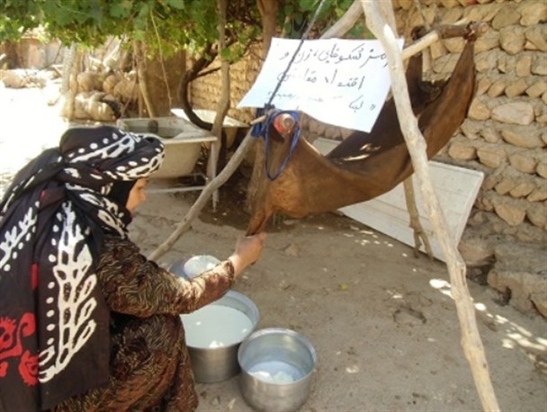 نقش زنان روستایی در اقتصاد مقاومتی+تصاویر