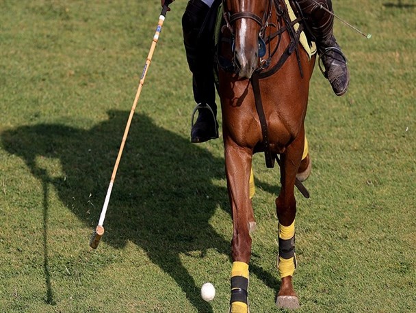 چوگان جام آینده سازان| تیم نزاجا قهرمان شد