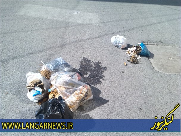 زباله های سرگردان در کوچه رجایی + تصاویر