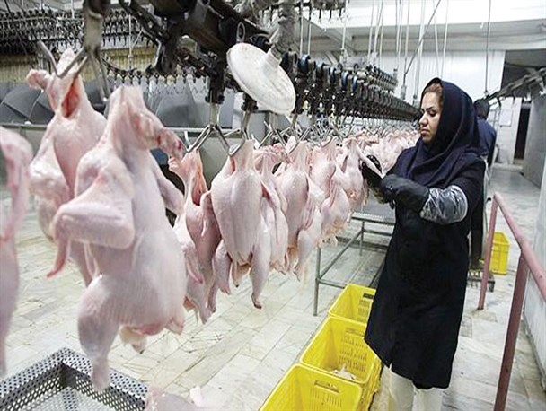 تولیدکننده مازندرانی خریدار تهرانی!