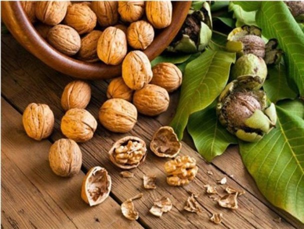 کاهش ۵۲ درصدی میزان تولید گردو در آذربایجان غربی/ افزایش قیمت ارز و سرمازدگی علل عمده گرانی گردو است