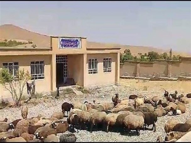 تبدیل مدرسه‌ به محل نگهداری دام در قزوین!