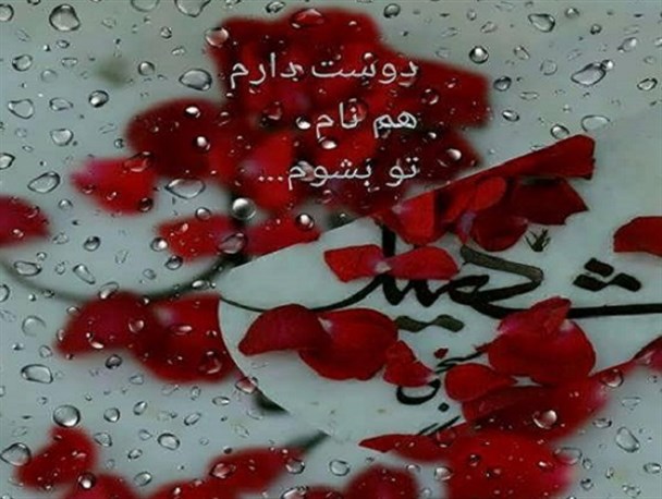 خادمان شیرخوارگان حسینی، پروفایل خود را به تصاویر شهدا مزین می‌کنند