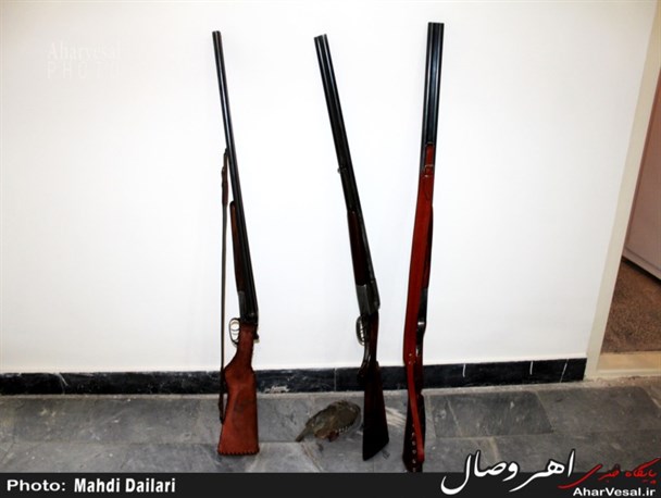توقیف سه قبضه اسلحه شکاری و یک قطعه کبک از شکارچیان غیرقانونی