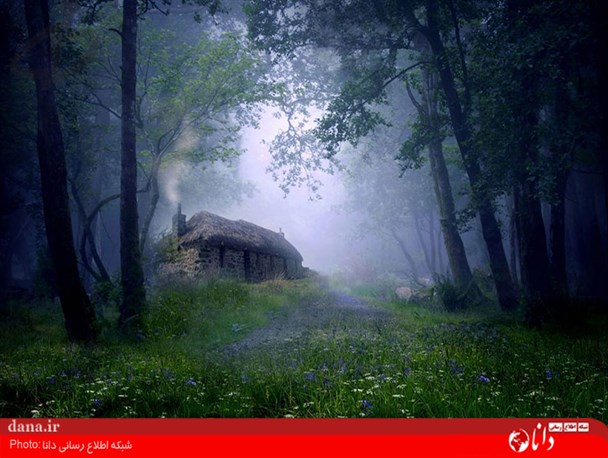 گزارش تصویری/ زیباترین تصاویر روز