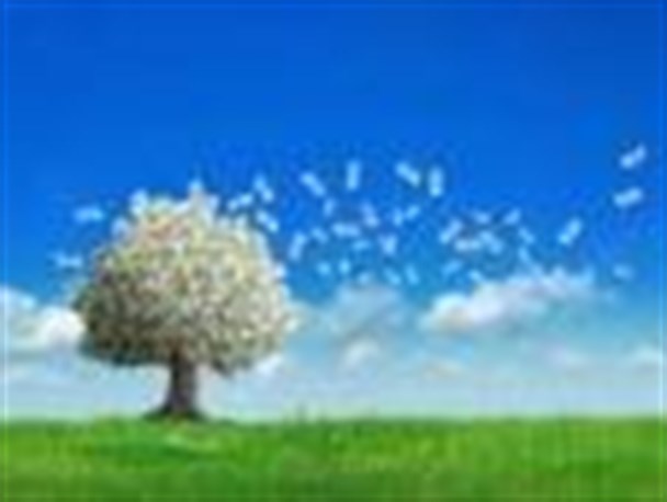استفاده از ظرفیت سرمایه گذاران برای پیشرفت صنعت گردشگری