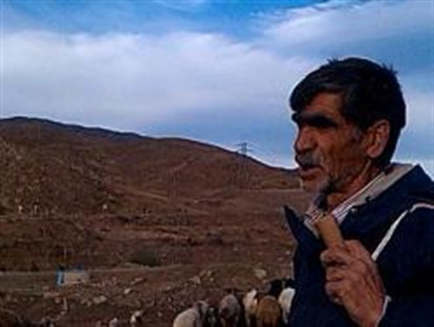 ناکامی گرگ گرسنه درحمله به گله گوسفندان چوپان چالگرودی