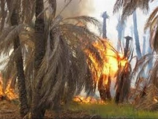 حادثه ایرندگانی ها را صدا نمی کند؛ مسئولان به فکر باشند!