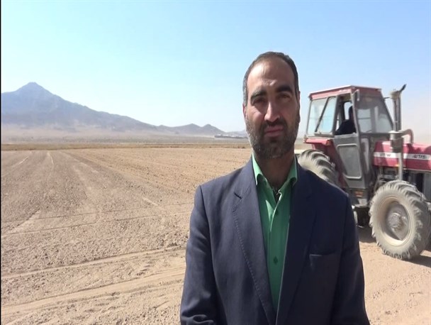 بیش از 3 هزار هکتار از مزارع کشاورزی سربیشه زیر کشت گندم و جو می‎رود