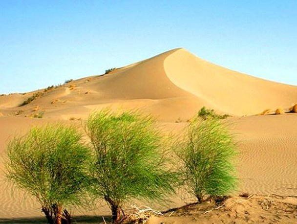 کمربند حفاظتی خطوط ریلی در راه‌آهن طبس اجرا می‌شود