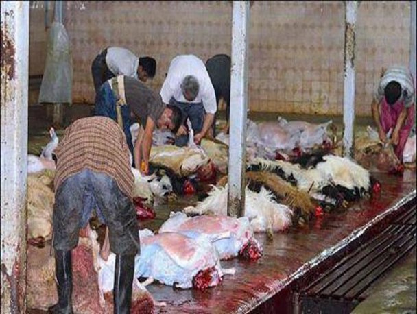 کشتارگاههای علی آباد کتول تعطیل شدند