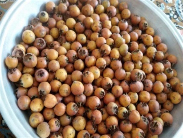 تهیه رب از میوه ای پاییزی به نام «کندوس» + تصاویر