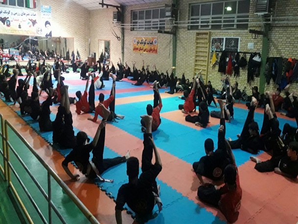 تمرین مشترک هیات کونگ فو و هنرهای رزمی استان همدان+تصاویر
