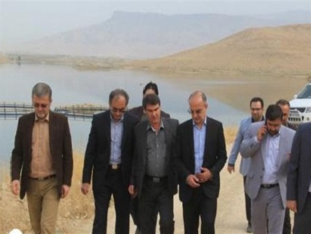 نخستین طرح پرورش ماهی در قفس در سد شهدای گمنام سرپلذهاب/ توسعه طرح پرورش ماهی در "قفس"
