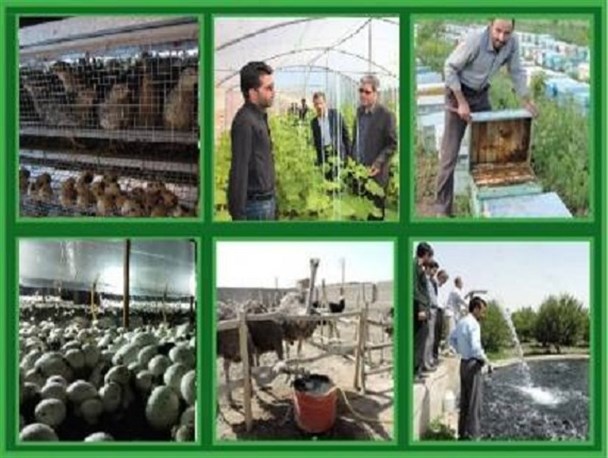 معرفی 88 طرح اشتغالزایی در روستاهای استان برای دریافت تسهیلات/ سود تسهیلات از 18 به 8 درصد کاهش یافت