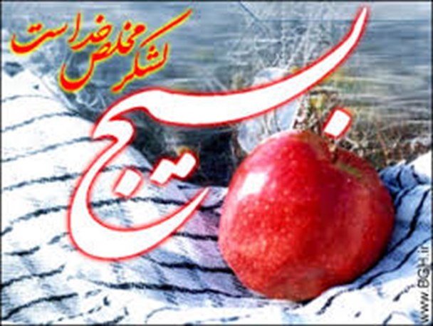 بسیج مدرسه عشق و نیروی پشتیبان کشور است
