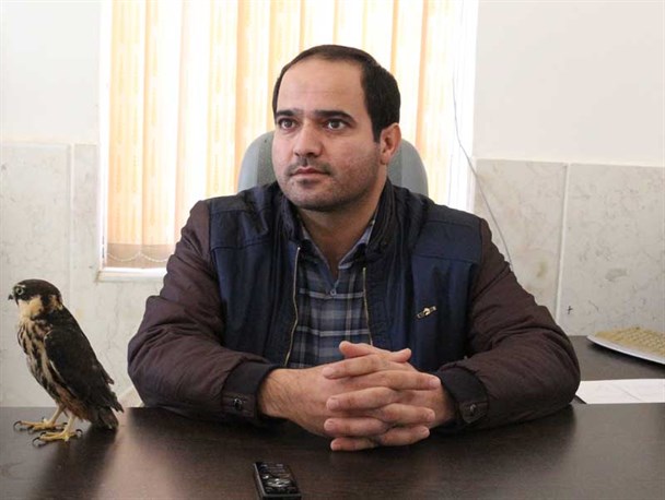 تحویل لیل توسط یک طبیعت دوست به اداره محیط زیست شهرستان جاجرم
