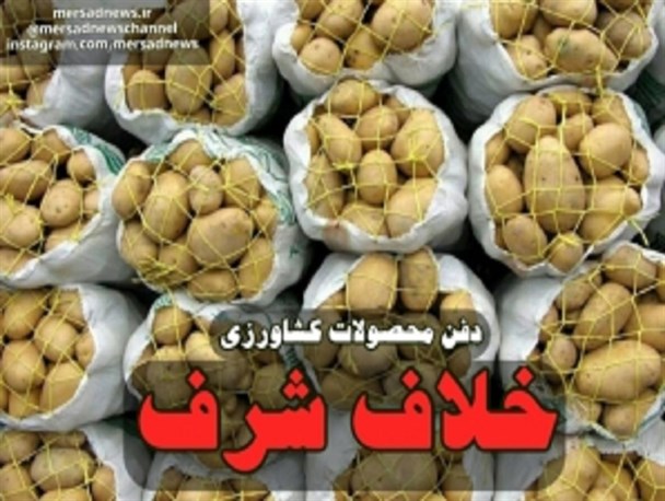 از نابود کردن عمدی گندم و گوشت در آمریکا و عربستان تا دفن سیب زمینی در دولت روحانی + جدول