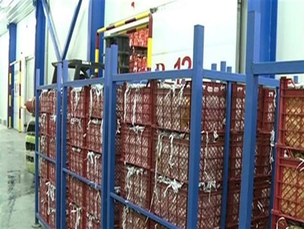 صادرات کُند محصول سیب آذربایجان غربی به کشورهای همجوار/بازار نیمه راکد است