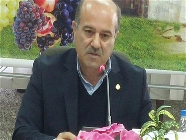 ریال به ریال تسهیلات بانک کشاورزی در راستای اقتصاد مقاومتی است